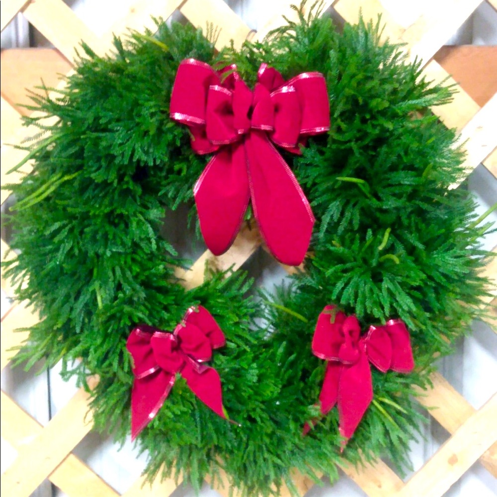 Live Christmas Wreath decor
